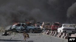 一条狗跑过汽车炸弹袭击的爆炸现场。（2017年5月31日）