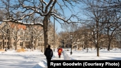 资料照片：芝加哥大学校园。