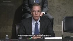 被提名為美國駐華大使的伯恩斯出席提名聽證會