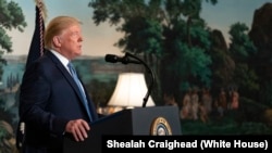 特朗普总统在白宫外交接待厅发表讲话。(2019年8月5日)