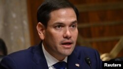 聯邦參議員魯比奧出席參議院的預算聽證（2019年4月10日）