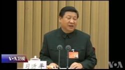 焦点对话：习近平集权成功，红二代集体消失？