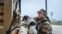 被澳英美三邊安全夥伴協議冷落的加拿大和新西蘭放下心結