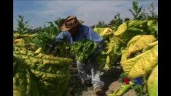 全面移民改革法或将成为美新国会工作重点