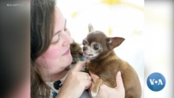 From Dust to Diamonds, Startup Transforms Cremated Ashes Into Sparkling Jewels