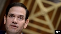 共和黨聯邦參議員魯比奧（Sen. Marco Rubio, R-FL）出席聽證會（2019年3月7日）