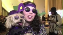 纽约上演小狗慈善时装秀