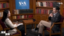 【黄亚生：如果保留“中顾委”，中国或许不会像现在这么独裁】11/11 #纵深视角 #精彩点评