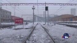 世界走向低碳未来，中国煤炭则面临危机