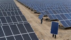 新疆強勞產品進入美國 限制一年後效果如何？