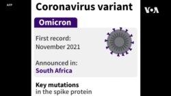 荷蘭、澳大利亞新發現奧米克戎新冠變異病例