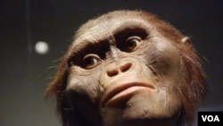 老祖宗露西洛杉磯迎春節