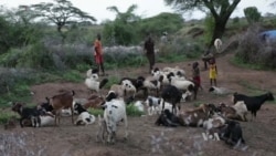 Poor Regions of Uganda Feeling the Heat of Climate Change