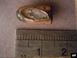 六四紀念館展出當年大學生在天安門廣場拾獲的彈頭照片