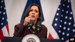 美國副總統賀錦麗在巴黎舉行記者會。 (2021年11月12日)