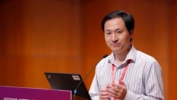 中國科研人員賀建奎在香港人類基因組編輯大會上講話。(2018年11月2日)