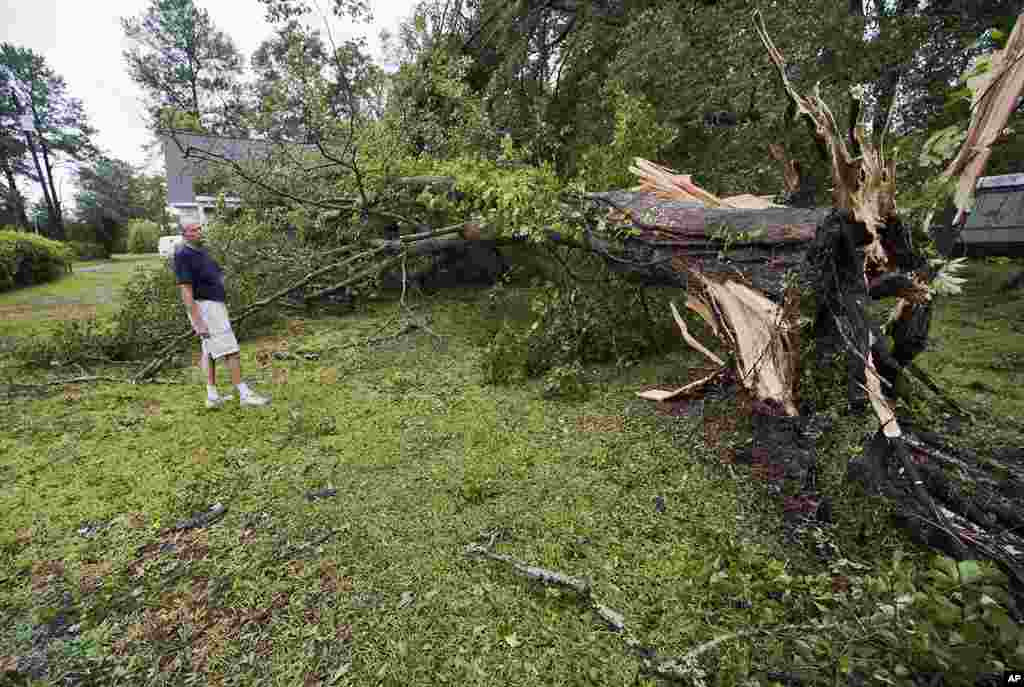 Resident Don Hurtig looks over an oak tree that blew over in his front yard as Hurricane Irene comes ashore near Morehead City, North Carolina. (Reuters Image)