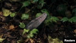 ອຸປະກອນ Pyri ເມື່ອນຳໄປວາງໄວ້ຢູ່ໃນທຳມະຊາດ ເພື່ອກວດຈັບໄຟປ່າໄດ້ຕັ້ງແຕ່ຫົວທີ