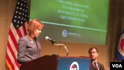 美國貿易代表辦公室首席農業談判代表維特大使在美國全國商會發表講話。（美國之音莉雅拍攝）