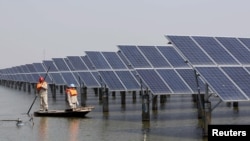 江蘇連雲港市的水池中的太陽能發電板 