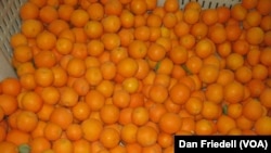 在加州雷德兰兹用来酿制飞机库24(Hangar 24)精酿橙麦啤酒的当地柑橘。(资料照)