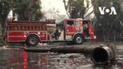 加州野火 迫使馬里布居民撤離 