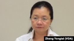 民進黨立委田秋堇(美國之音張永泰拍攝)