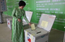 模擬投票（民進黨文宣提供）