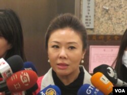 国民党立委李彦秀（美国之音张永泰拍摄）