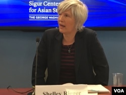 戴維森學院東亞政治教授任雪麗 (美國之音鍾辰芳拍攝)