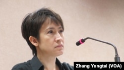 台湾在野党民进党立委萧美琴(美国之音张永泰拍摄)