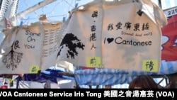 反映港人身份認同的環保袋(右)，以及諷刺建制派議員鍾樹根「金句」的「Same on you」環保袋(左) (攝影﹕美國之音湯惠芸)