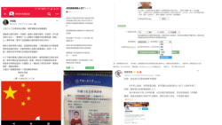 被称为“小粉红”的“帝吧”成员称其被人肉搜索，个人信息被填入征兵网站报名表。评论指，共青团在“帝吧出征”舆论引导中起重要作用。（网络图片）