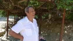 作曲家王西麟从山川草木中汲取灵感 （王西麟提供照片）