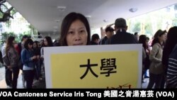 香港市民盧小姐 (攝影:美國之音湯惠芸)