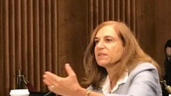 战略与国际研究中心亚洲资深顾问及中国权力项目主任葛莱仪2019年9月4日参加美中经济与安全审查委员会听证会（美国之音锺辰芳拍摄）