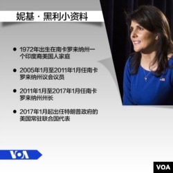 美国常驻联合国代表妮基·黑利大使小资料