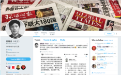 環球時報總編胡錫進推特頁面截圖
