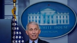 白宮主要醫療顧問、美國國立過敏和傳染病研究所(NIAID)所長安東尼·弗契（美聯社資料圖）