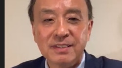 旅美華裔公益活動人士王平（資料照片）