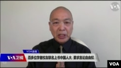 旅美时评人鲁难 （资料照片）