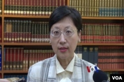 台灣外交部發言人高安（視頻截圖）