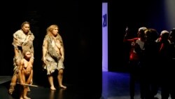 遊客在法國里昂匯合博物館觀看代表人類和尼安德特人女性的模型並拍照。(2014年12月18日)