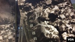 独立纪录片制片人文海新书( 美国之音易林拍摄)