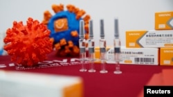 中国科兴公司在北京展示其研发生产的新冠病毒疫苗。（2020年9月24日）