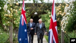英國首相約翰遜(右)和澳大利亞總理莫里森在倫敦唐寧街10號的花園裡舉行會面後一起散步。(2021年6月15日)