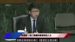 前香港大專學界國際事務代表團發言人張崑陽10月19日出席國會聽證會