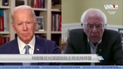 特朗普反对派团结民主党支持拜登