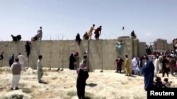 阿富汗人爬上喀布爾國際機場帶有鐵絲網的圍牆要進入機場。 （2021年8月16日）