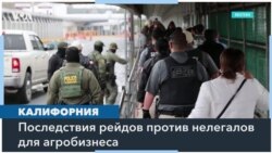 Влияние депортаций нелегальных иммигрантов на сельское хозяйство 